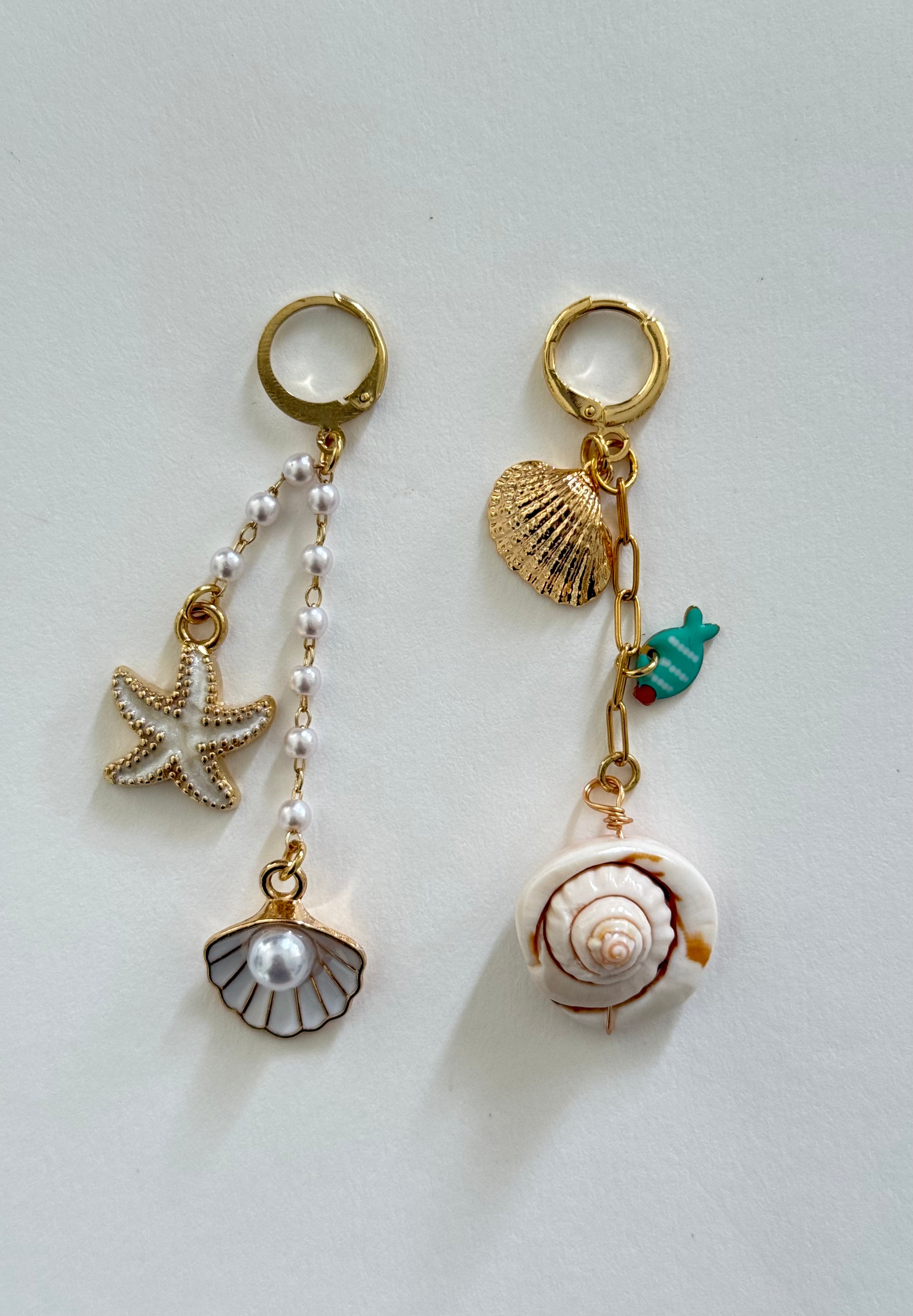Seashell Treasures (2 pack)